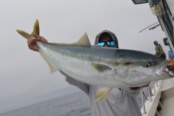 ジギング船 BLUEWATER 釣果