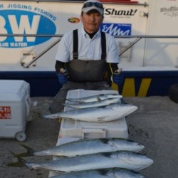 ジギング船 BLUEWATER 釣果