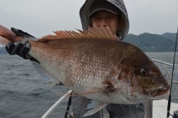 ジギング船 BLUEWATER 釣果