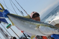 ジギング船 BLUEWATER 釣果