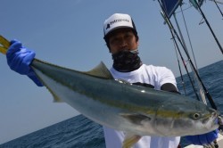 ジギング船 BLUEWATER 釣果