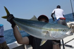 ジギング船 BLUEWATER 釣果