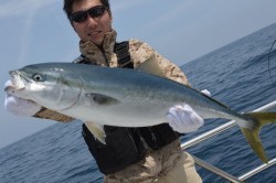 ジギング船 BLUEWATER 釣果