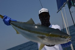 ジギング船 BLUEWATER 釣果