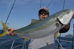 ジギング船 BLUEWATER 釣果