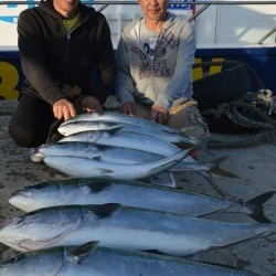 ジギング船 BLUEWATER 釣果