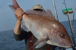 ジギング船 BLUEWATER 釣果