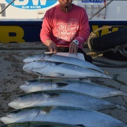 ジギング船 BLUEWATER 釣果