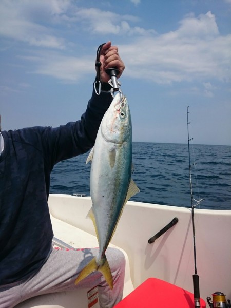 ブリを狙いに冠島へ！