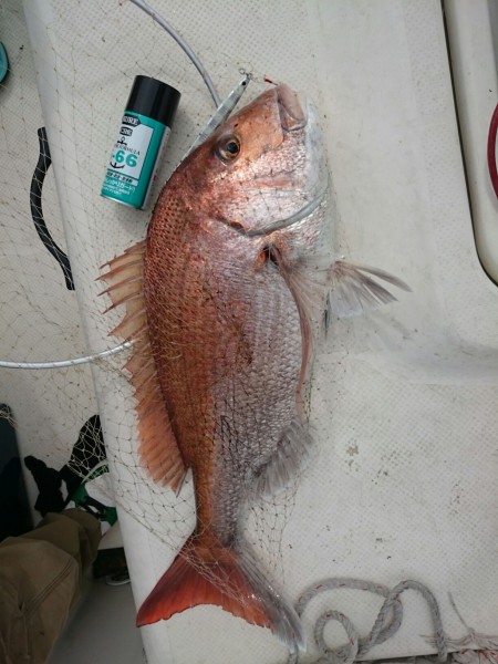 ブリを尋ねて２連チャン釣行