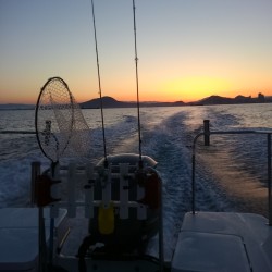 今年初のティップラン