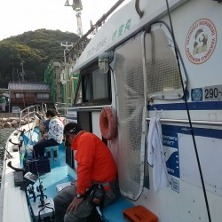 麦イカメタル堪能