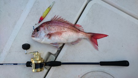 スロージギング