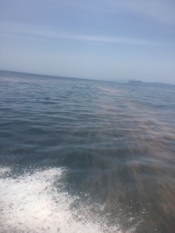 ゴールデンウイークタイラバ釣行