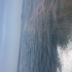 ゴールデンウイークタイラバ釣行