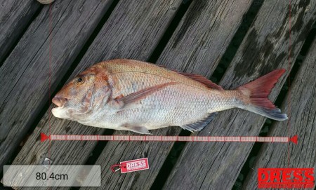 ブリを尋ねて２連チャン釣行