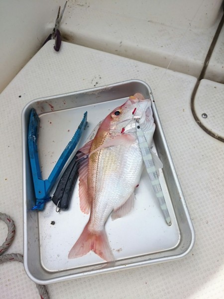 天気、波ともに最高の予報・・・だがしかし