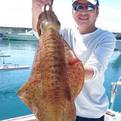 今年初のティップラン