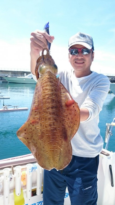 今年初のティップラン