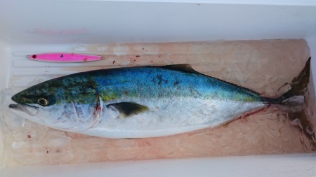 アルバトロス乗船