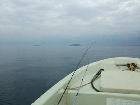 真鯛釣れました