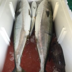 輪島沖ジギング