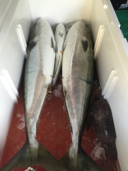 輪島沖ジギング