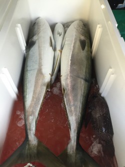 輪島沖ジギング