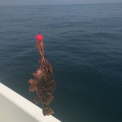 ゴールデンウイークタイラバ釣行