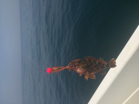 ゴールデンウイークタイラバ釣行