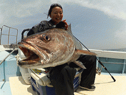 浩敬丸 釣果