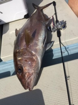 第二隆星丸 釣果