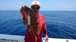 芳美丸 釣果