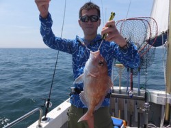 Hit Rush(ヒット ラッシュ） 釣果