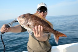 Marine T Design　マリンティーデザイン 釣果