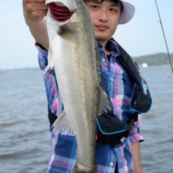 Marine T Design　マリンティーデザイン 釣果