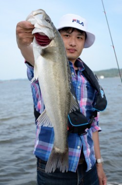 Marine T Design　マリンティーデザイン 釣果