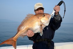 Marine T Design　マリンティーデザイン 釣果