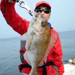 Marine T Design　マリンティーデザイン 釣果