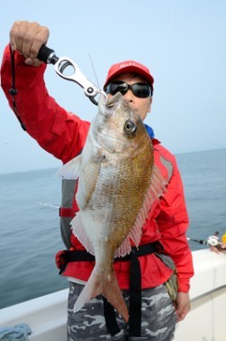 Marine T Design　マリンティーデザイン 釣果