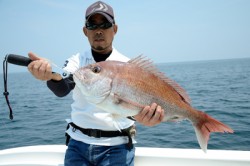 Marine T Design　マリンティ…