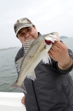 Marine T Design マリンティーデザイン 釣果