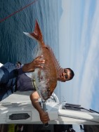 sea boss　シーボス 釣果