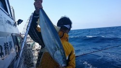 海龍丸 釣果