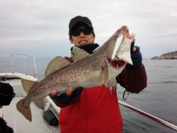 MATSUSHIMA SEANET 釣果