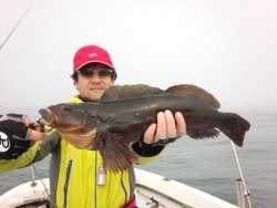 MATSUSHIMA SEANET 釣果