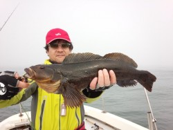 MATSUSHIMA SEANET 釣果