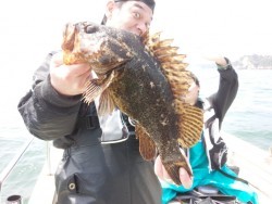 MATSUSHIMA SEANET 釣果