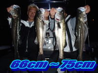 オーシャンマスター 釣果