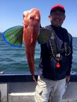 ゲームフィッシング バレントン 釣果